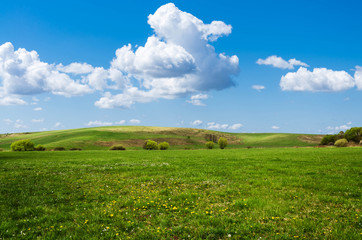 Canvas Print - green field background