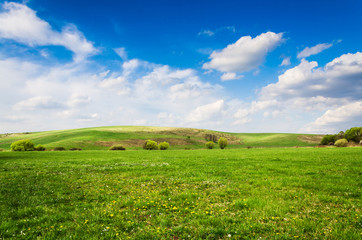 green field background