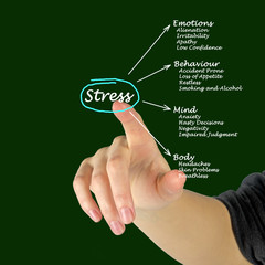 Poster - Diagram of stress consequences