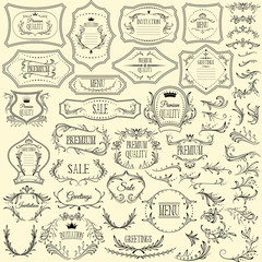 collection of floral design elements and frames