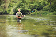 Mature Fisherman Fishing In A River