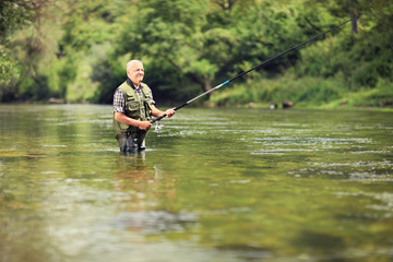 Wall Mural - Mature fisherman fishing in a river