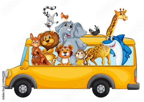 Fototapeta dla dzieci Animals on school bus