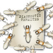 Diagnostic termites 3