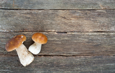 Poster - boletus mushrooms on wooden surface