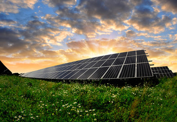 Wall Mural - solar energy panels in the setting sun