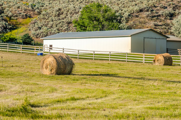 Wall Mural - Bales of Hay in a Mown Field