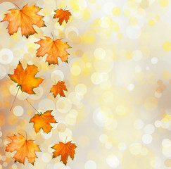 Orange autumnal branch of  tree on abstract background with boke