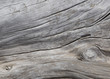 © EnginKorkmaz - Natural driftwood close up texture background