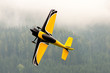 Flugzeug – Modellflugzeug - Tiefdecker