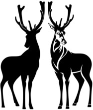 Standing Deer Outline And Silhouette