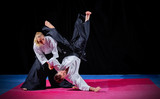 Two martial arts fighters