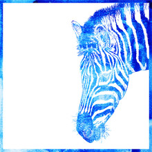 Watercolor Animal Background In A Blue Color, Head Of Zebra, Vec