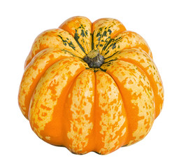 Canvas Print - decorative squash isolated on white