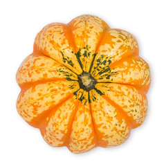 Canvas Print - decorative squash on white