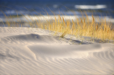 Papier Peint - Morze, piękna plaża o wschodzie słońca