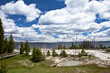 © berzina - USA - Yellowstone NP