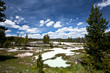 © berzina - USA - Yellowstone NP
