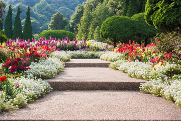 Wall Mural - flower garden