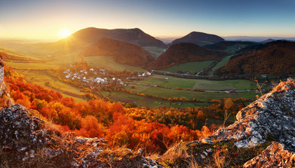 Canvas Print - Autumn mountain forest landscape