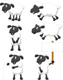 Fototapeta Fototapety na ścianę do pokoju dziecięcego - Cute cartoon sheep collection set