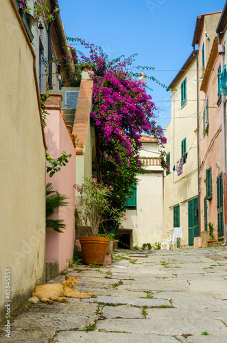 Obraz w ramie Island of Elba, alley in Sant'Ilario