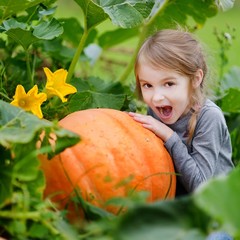 cute little girl hugging a pumpkin