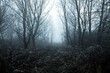 © Gudellaphoto - Foggy Winter