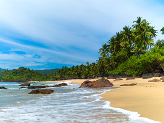 Wall Mural - Beach with palm trees