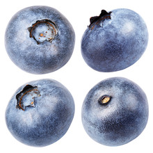 Set Of Blueberry Berry Isolated On White With Clipping Path