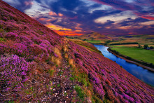 Beautiful Landscape Of Scottish Nature