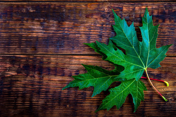 Wall Mural - Two maple leaves on wooden table.