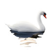 © Natis - Swan, vector illustration