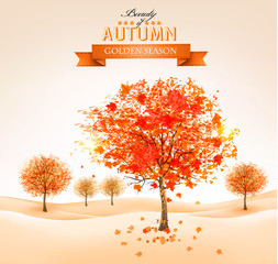 Aufkleber - Autumn background with colorful leaves and trees. Vector illustr