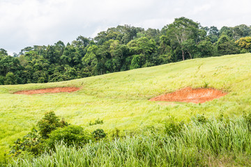 Sticker - Landscape of National Park