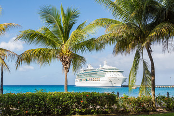 Cruise Ship Between Palm Trees