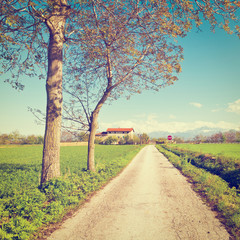 Canvas Print - Farmhouse