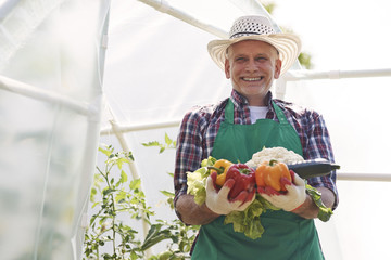 Holding an armful of organic goodness from greenhouse