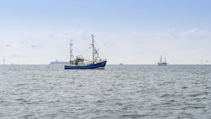 Fishing boats trawling