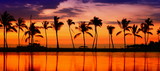 Fototapeta Zachód słońca - Travel banner - Beach paradise sunset palm trees