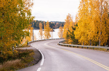 Road In Golden Autumn