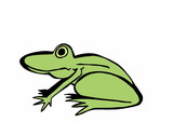 Fototapeta Zwierzęta - doodle frog