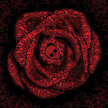 Red Rose Of Skulls And Bones