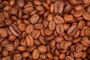 Sticker - Coffee beans