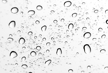 Poster - Background of water drops on glass