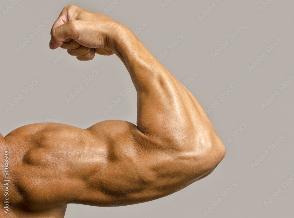 Close up on a bodybuilder biceps,shoulder,arm - obrazy, fototapety, plakaty 