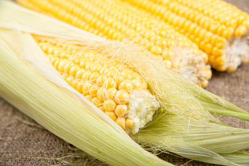 Corn cobs