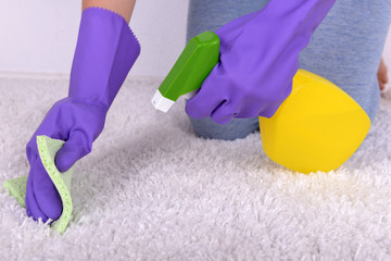 Wall Mural - Cleaning carpet with cloth and  sprayer close up