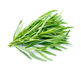 Poster - Tarragon herbs