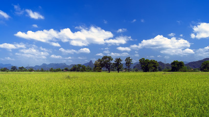 Wall Mural - Sky and Hills.